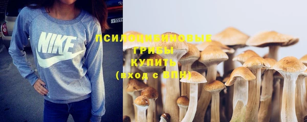 мяу мяу кристалл Гусь-Хрустальный