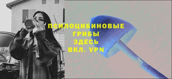 герыч Горняк