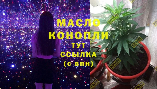 мяу мяу кристалл Гусь-Хрустальный
