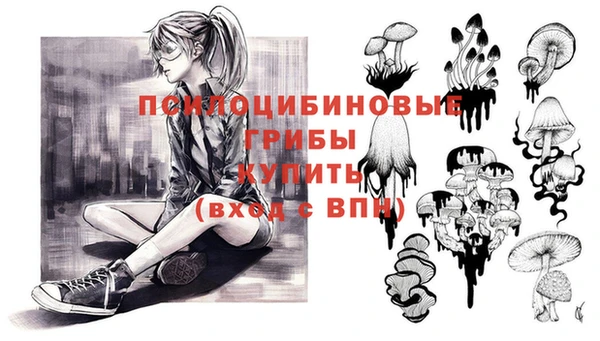 мяу мяу кристалл Гусь-Хрустальный