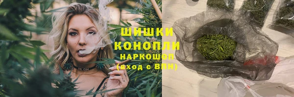 мяу мяу кристалл Гусь-Хрустальный